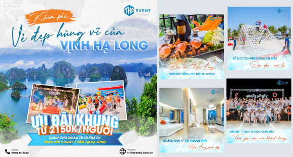 Tour Hạ Long 2n1đ: Hành trình khám phá vẻ đẹp vùng Vịnh